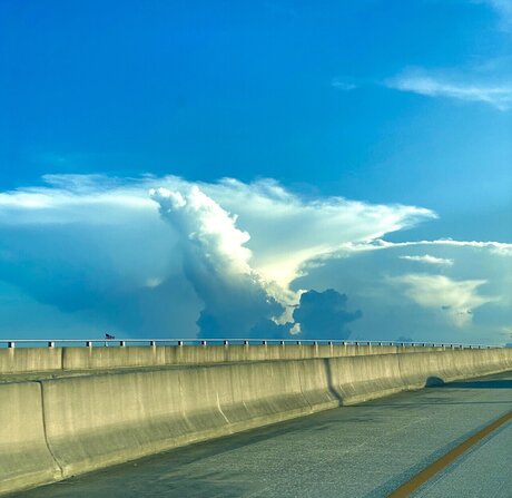 Gustavo Troche セクシーなポルノスター ギャラリー