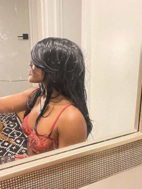 Finch Bird HDモデル アーカイブ