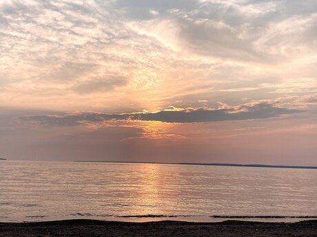 The Confi Domme 無料モデル 画像