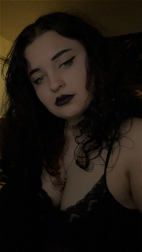 _Wren_ 完璧なスター 画像