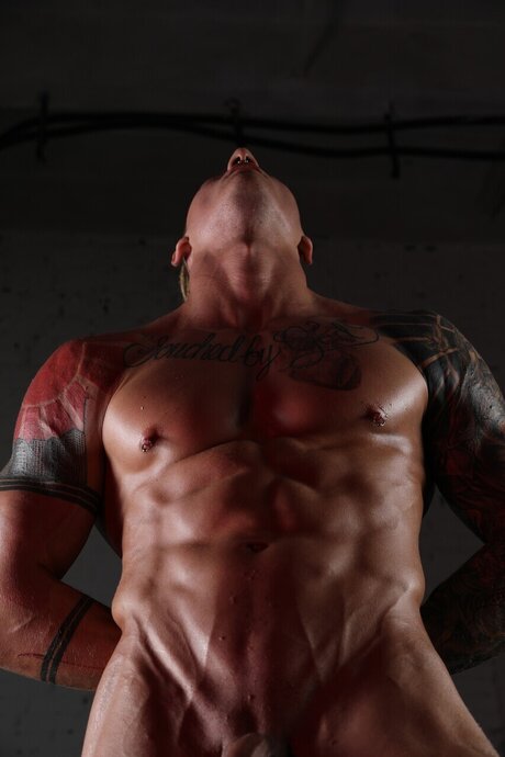 CENTAUR OFF 美しいスター 画像