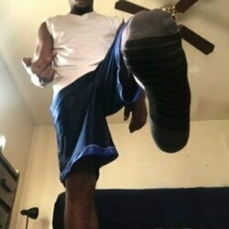 Master D 1 8K トップモデル ギャラリー