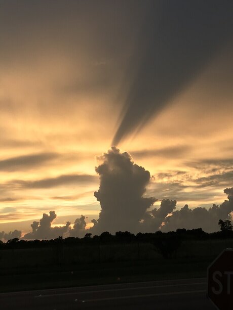 XHEADSHOTX セックススター ギャラリー