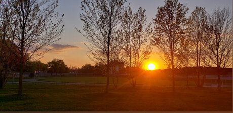 Just a dick ポルノスター セクシー 画像