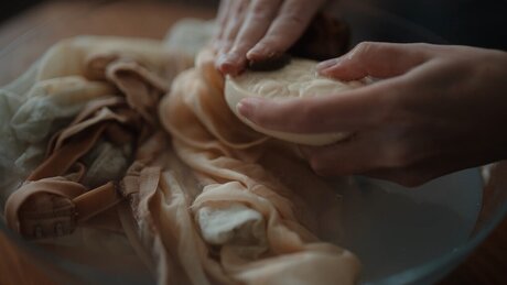 Flesh Museum ポルノスター アーカイブ