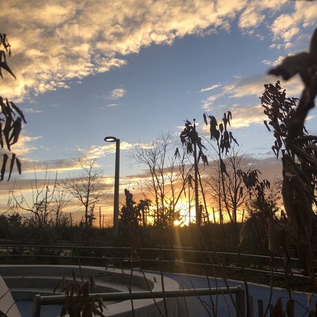 Ander Alejandro 裸モデル ギャラリー