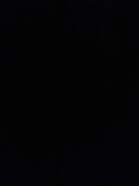 大きなお尻のマンコOnlyFans HD 画像