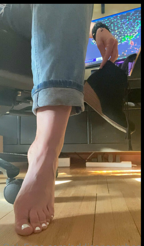 addisonsarches ホットスター ギャラリー