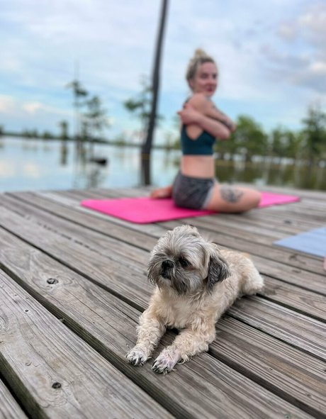 stellafreexxx トップスター アーカイブ