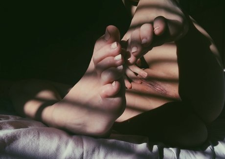 Accioleesi ヌードスター 画像