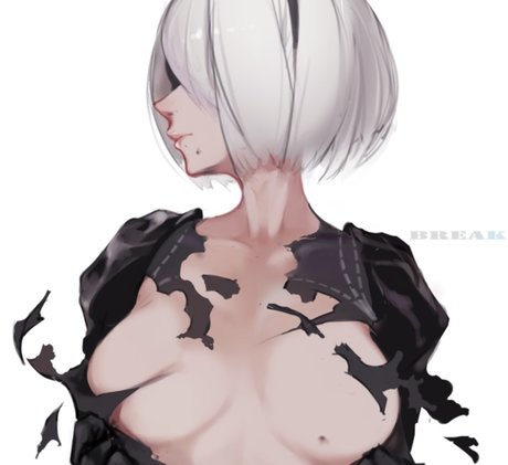 Nier Automata ポルノスター 写真