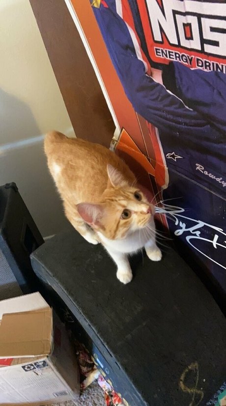 巨乳のマンコOnlyFans アダルト 写真