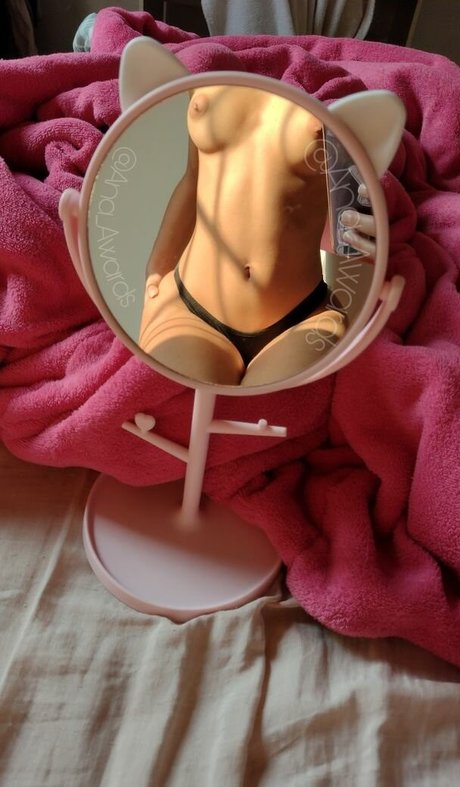 Ana Awards 完璧なスター 写真