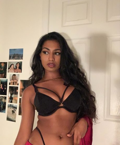 xjaffy HDスター 写真