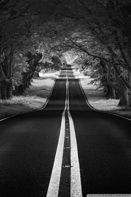 ThatOneGirl_ ポルノモデル 写真