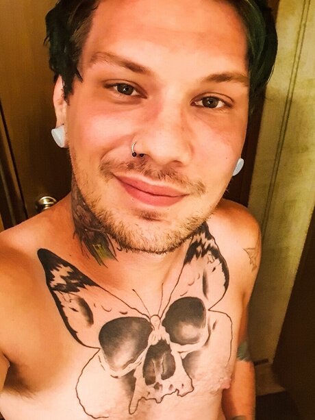 Auzzybear 独占スター 画像