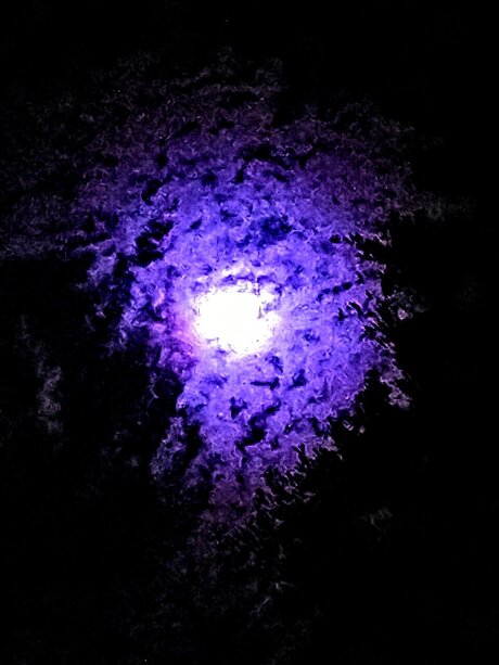 WireFramed アダルトモデル 写真