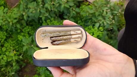 _fulani7a_ ポルノスター 美しい 画像