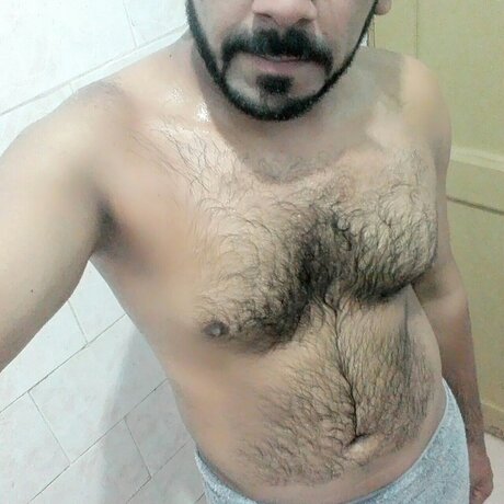 Desy BULL アダルトモデル 画像