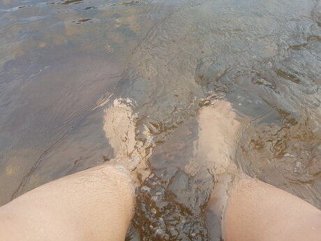 Smile_ 完璧なスター 写真