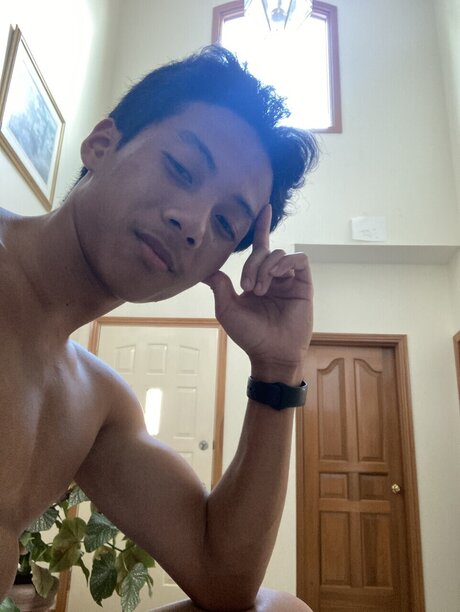 Bernard 高品質スター 写真