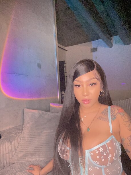 _Certfied Stormy Girl_ スターセックス ギャラリー