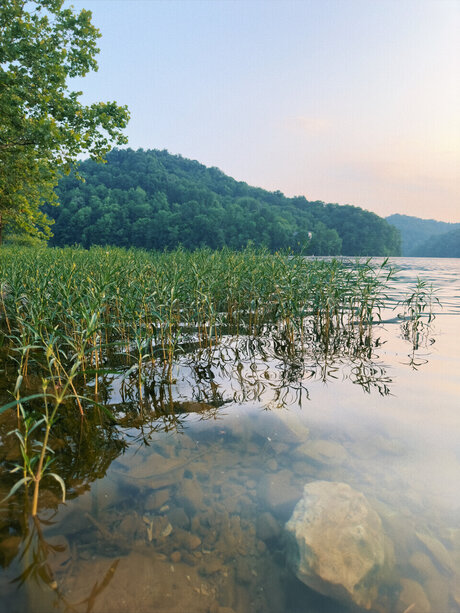 Huskycub58 ポルノスター 写真