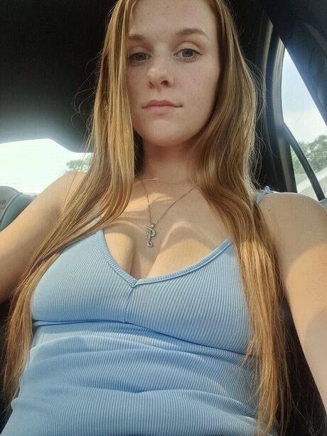 Puurty Kitty_ 素敵なスター ギャラリー