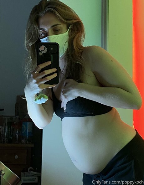 poppykoch 美しいスター ギャラリー