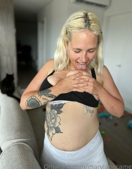 DMV オンリーファン ポルノグラフィック 写真