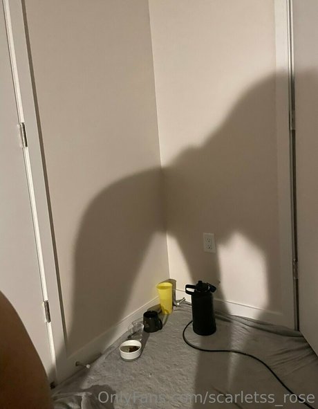 scarletss rose アートモデル 画像