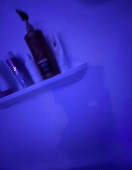 scarletss rose 独占モデル 画像