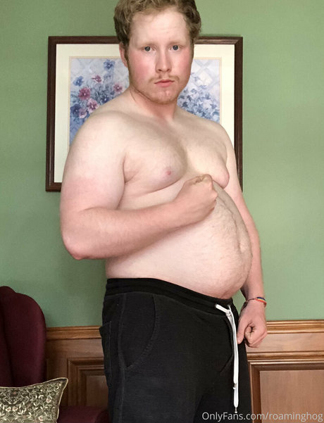 roaminghog 完璧なスター 写真