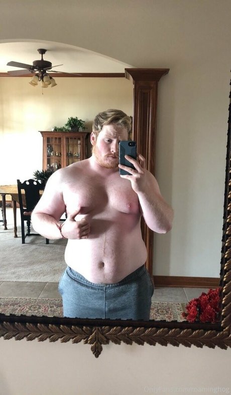 roaminghog HDモデル ギャラリー