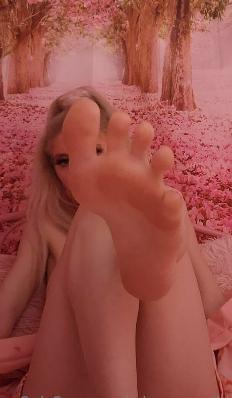 edynx 完璧なスター 写真