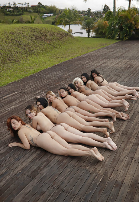 ナイロン足 OnlyFans アートxxx ギャラリー