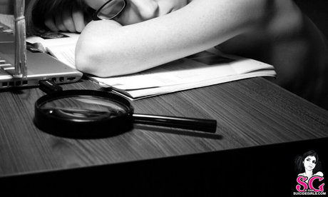 Kemper SG 無料モデル 写真