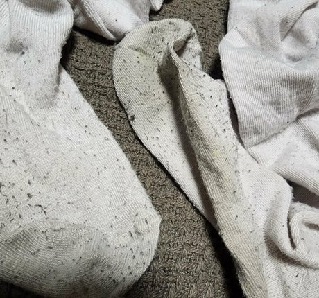 feetbeth セクシーモデル ギャラリー