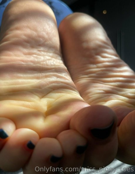 ブラウンオンリーファン 美しいxxx 画像