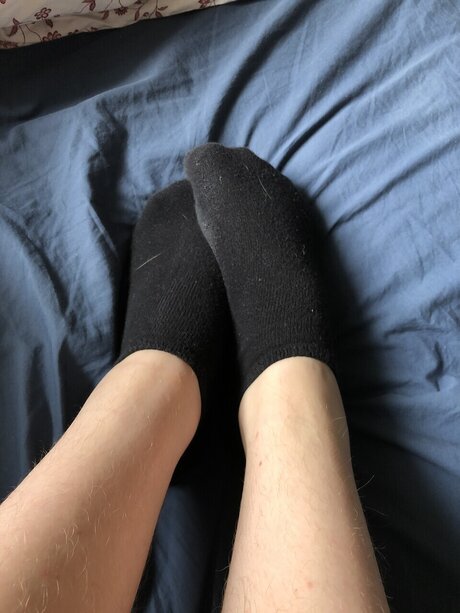 Melon かわいいスター 写真