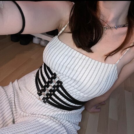 u168434762 高品質スター 写真