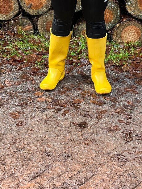 dirtyyshoes アートポルノスター ギャラリー