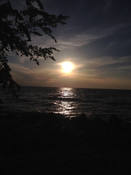 Aubri Hendricks 完璧なモデル アーカイブ