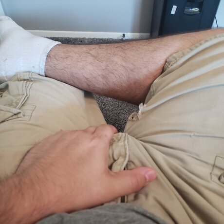 Darth Hamster ポルノスター セックス 写真