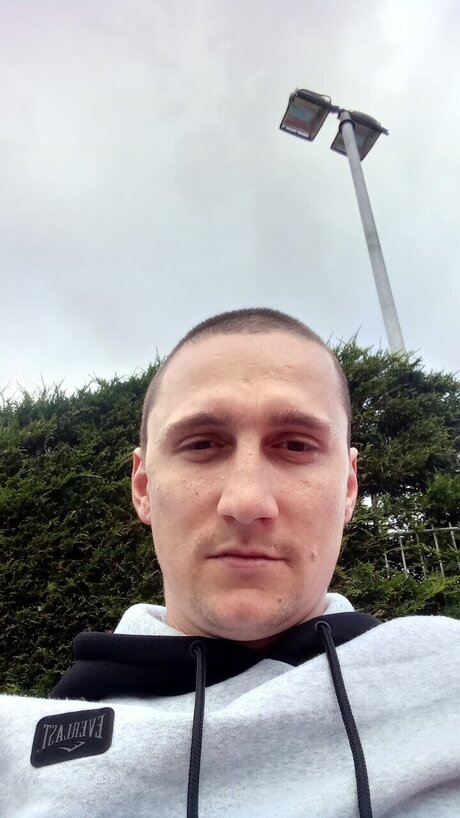 Magorbby アートスター 写真