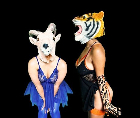 CostumeCunts 最高のスター 写真