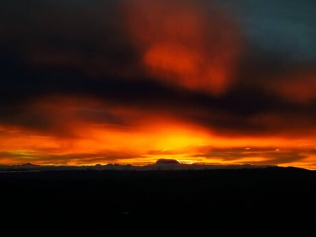 Anderson Javier ヌード女優 アーカイブ