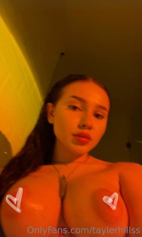 Tayler Hills HDモデル 写真