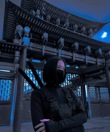 Ninja Vi 独占スター 画像