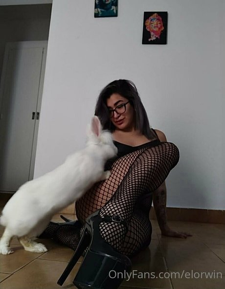 elorwin ポルノ女優 写真